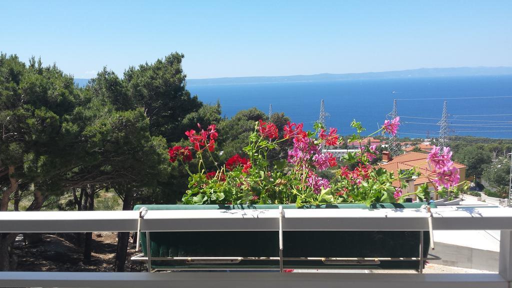Cepo Apartament *